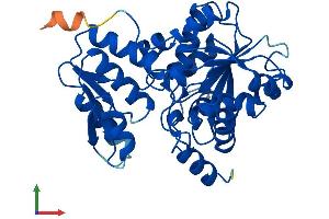 Protein Structure (PS) image for Serine Dehydratase-Like (SDSL) (AA 1-329) protein (His tag) (ABIN7559690)