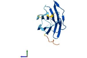 Protein Structure (PS) image for Galectin-Related Inter-Fiber Protein (GRIFIN) (AA 1-144) protein (His tag) (ABIN7548100)