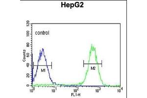 TESC Antibody (C-term) (ABIN651329 and ABIN2840191) flow cytometric analysis of HepG2 cells (right histogram) compared to a negative control cell (left histogram). (Tescalcin 抗体  (C-Term))