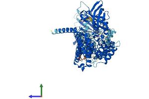 Protein Structure (PS) image for Acyl-CoA Dehydrogenase Family, Member 11 (ACAD11) (AA 1-779) protein (His tag) (ABIN7558421)
