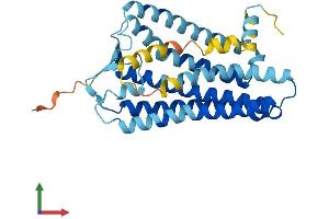 AlphaFold protein structure predicition of Human Recombinant OR10J4 Protein, UniprotID P0C629 (OR10J4 Protein (AA 1-311) (His tag))
