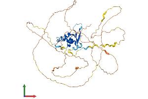 Protein Structure (PS) image for Forkhead Box D2 (FOXD2) (AA 1-495) protein (His tag) (ABIN7547828)