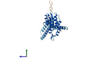 Protein Structure (PS) image for OTU Domain Containing 6B (OTUD6B) (AA 1-293) protein (His tag) (ABIN7550331)
