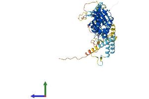 Protein Structure (PS) image for RRIO Kinase 3 (RIOK3) (AA 1-519) protein (His tag) (ABIN7551388)