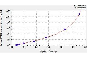 Typical Standard Curve (FTH1 ELISA 试剂盒)