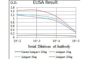 Black line: Control Antigen (100 ng), Purple line: Antigen(10 ng), Blue line: Antigen (50 ng), Red line: Antigen (100 ng), (Cadherin 5 抗体  (AA 29-223))