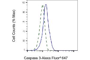 Validation of Caspase 3 knockdown using flow cytometry. (Recombinant Caspase 3 抗体)