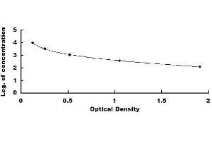 Typical standard curve