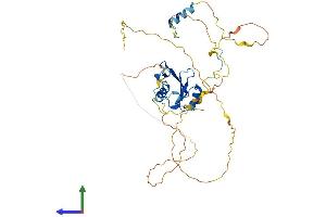 Protein Structure (PS) image for Src Homology 2 Domain Containing F (SHF) (AA 1-423) protein (His tag) (ABIN7546087)