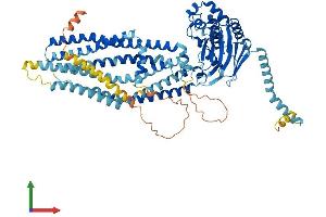 AlphaFold protein structure predicition of Human Recombinant ABCD2 Protein, UniprotID Q9UBJ2