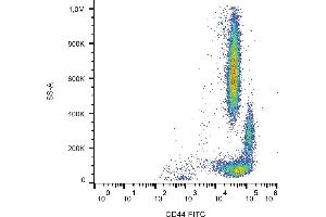 Flow cytometry analysis (surface staining) of human peripheral blood using anti-CD44 (MEM-263) FITC conjugate. (CD44 抗体  (FITC))