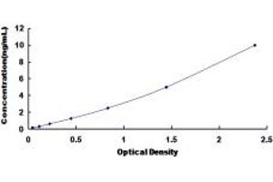 Typical standard curve (ADAM9 ELISA 试剂盒)