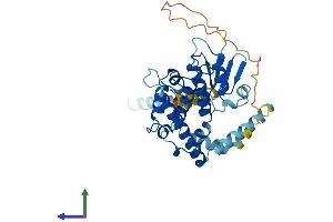 Protein Structure (PS) image for Ganglioside-Induced Differentiation-Associated Protein 1-Like 1 (GDAP1L1) (AA 1-367) protein (His tag) (ABIN7547891)