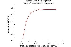 ELISA image for Dipeptidyl-Peptidase 4 (DPP4) (AA 29-766) protein (Fc Tag) (ABIN2180984)