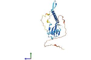 Protein Structure (PS) image for Mediator Complex Subunit 6 (MED6) (AA 1-246) protein (His tag) (ABIN7560188)