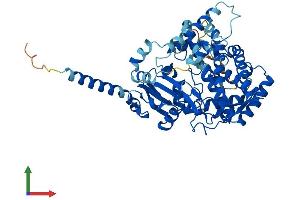 AlphaFold protein structure predicition of Mouse Recombinant Tbxas1 Protein, UniprotID P36423