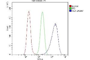 Flow Cytometry analysis of A549 cells using anti-FIS1 antibody (ABIN7598965).