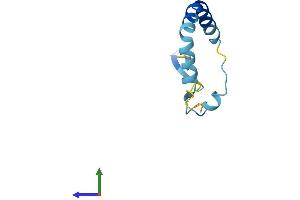 Protein Structure (PS) image for Canopy 1 Homolog (CNPY1) (AA 1-92) protein (His tag) (ABIN7546676)