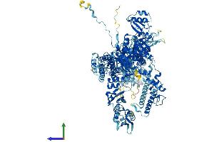 Protein Structure (PS) image for Polymerase (RNA) III (DNA Directed) Polypeptide A, 155kDa (POLR3A) (AA 1-1390) protein (His tag) (ABIN7555264)