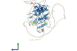 Protein Structure (PS) image for PR Domain Containing 9 (PRDM9) (AA 1-894) protein (His tag) (ABIN7555079)