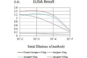 Black line: Control Antigen (100 ng),Purple line: Antigen (10 ng), Blue line: Antigen (50 ng), Red line:Antigen (100 ng) (MYST2 抗体  (AA 1-200))