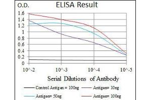 Black line: Control Antigen (100 ng), Purple line: Antigen(10 ng), Blue line: Antigen (50 ng), Red line: Antigen (100 ng), (RAF1 抗体)