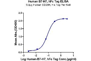 ELISA image for HERV-H LTR-Associating 2 (HHLA2) (AA 23-344) protein (Fc Tag) (ABIN7273964)
