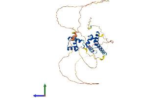Protein Structure (PS) image for POU Domain, Class 4, Transcription Factor 2 (POU4F2) (AA 1-409) protein (His tag) (ABIN7550817)