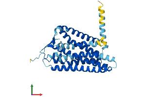 Protein Structure (PS) image for Olfactory Receptor, Family 51, Subfamily E, Member 2 (OR51E2) (AA 1-320) protein (His tag) (ABIN7559784)