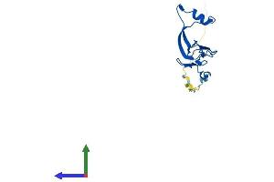 Protein Structure (PS) image for Mitochondrial Ribosomal Protein L27 (MRPL27) (AA 1-148) protein (His tag) (ABIN7560437)