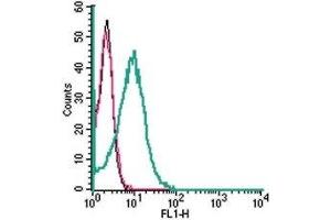 Cell surface detection of ASCT2 in live intact human HL-60 promyelocytic leukemia cells: (black line) Cells. (SLC1A5 抗体  (Extracellular))