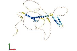 Protein Structure (PS) image for Basic Helix-Loop-Helix Family, Member E40 (BHLHE40) (AA 1-411) protein (His tag) (ABIN7562280)