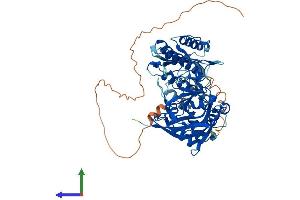 AlphaFold protein structure predicition of Human Recombinant PARP2 Protein, UniprotID Q9UGN5