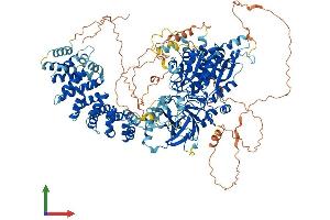 AlphaFold protein structure predicition of Human Recombinant AGTPBP1 Protein, UniprotID Q9UPW5