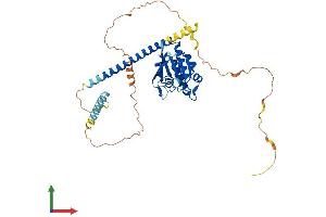 Protein Structure (PS) image for ADP-Ribosylation Factor-Like 13B (ARL13B) (AA 1-428) protein (His tag) (ABIN7552174)