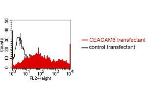 FACS analysis of BOSC23 cells using MUS. (CEACAM5/6 抗体)