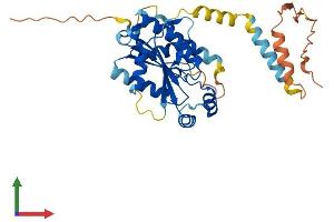 Protein Structure (PS) image for Phosphoseryl-tRNA Kinase (PSTK) (AA 1-348) protein (His tag) (ABIN7551107)