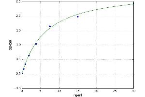 A typical standard curve (Nerve Growth Factor ELISA 试剂盒)