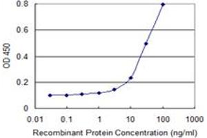 Detection limit for recombinant GST tagged CENPV is 1 ng/ml as a capture antibody. (CENPV 抗体  (AA 173-272))