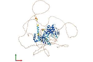 Protein Structure (PS) image for SNF Related Kinase (SNRK) (AA 1-748) protein (His tag) (ABIN7559874)