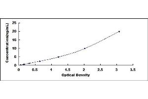 Typical standard curve (HADH ELISA 试剂盒)