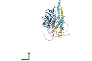 Protein Structure (PS) image for Kinesin Family Member 3C (KIF3C) (AA 1-793) protein (His tag) (ABIN7548897)