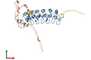 AlphaFold protein structure predicition of Mouse Recombinant Nfkbie Protein, UniprotID O54910