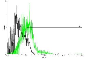 FACS analysis of negative control 293 cells (Black) and CCBP2 expressing 293 cells (Green) using CCBP2 purified MaxPab mouse polyclonal antibody. (CCBP2 抗体  (AA 1-384))