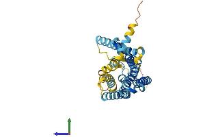 Protein Structure (PS) image for Olfactory Receptor, Family 10, Subfamily AD, Member 1 (OR10AD1) (AA 1-317) protein (His tag) (ABIN7549969)