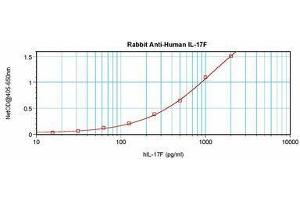 Image no. 3 for anti-Interleukin 17F (IL17F) antibody (ABIN465701) (IL17F 抗体)