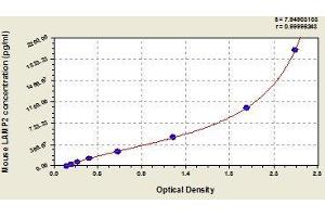 Typical standard curve (LAMP2 ELISA 试剂盒)