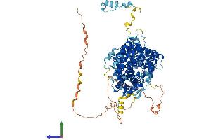 Protein Structure (PS) image for Striatin Interacting Protein 1 (STRIP1) (AA 1-837) protein (His tag) (ABIN7546453)