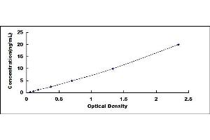 Typical standard curve (GLUL ELISA 试剂盒)