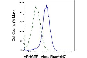 Validation of ARHGEF1 knockdown using flow cytometry.